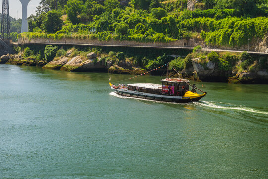 View of a traditional Barcos Rabelos boat glides across the shimmering Douro River under a lush green bank, Porto, Porto District, Portugal.