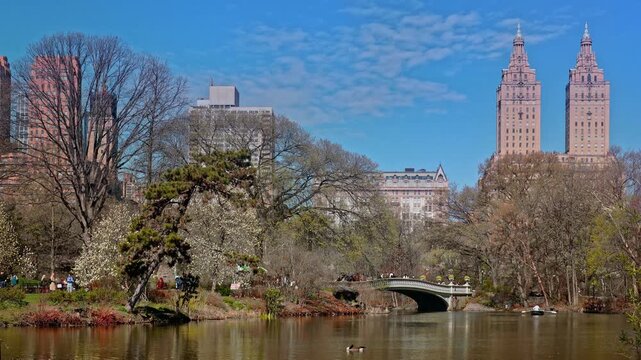 static shot of The Lake in Central Park on a clear spring morning. The iconic cast-iron Bow Bridge frames a lone rowboat, while the background shows apartment buildings and the Upper West Side