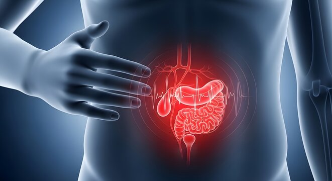 Gallbladder Stones Medical Visualization with Internal Organ Highlight Digestive Health Concept
