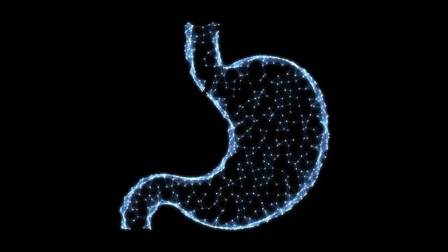 Looping abstract animation of human stomach anatomy with smooth motion and organic forms. Ideal for medical, healthcare, digestion, and educational visualizations.