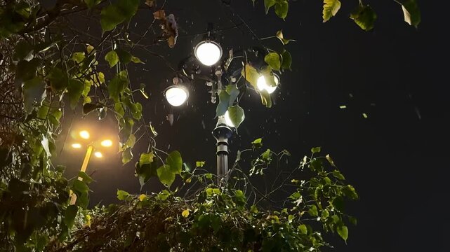 Heavy rain falling through tree branches at night under bright street lamps