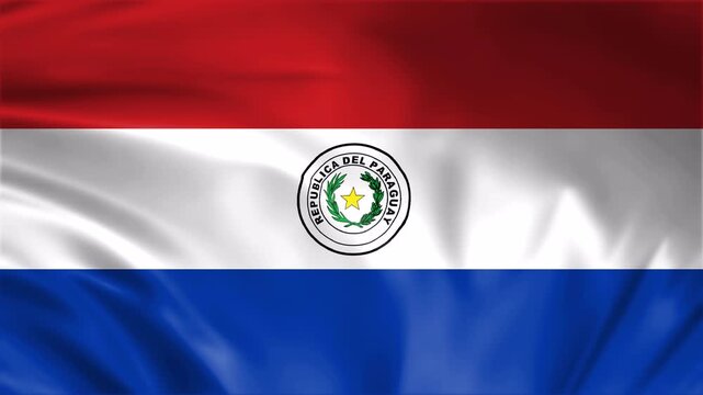 Paraguay flag waving in the win full screen 3d animation loop seamless animation. good for background waiting screen