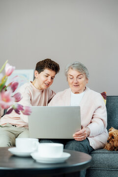 Adult woman explaining senior mother how to use laptop. Education for aged. Retired lady discovering technology for reading news, chatting with family, watching video, online consulting with doctor.