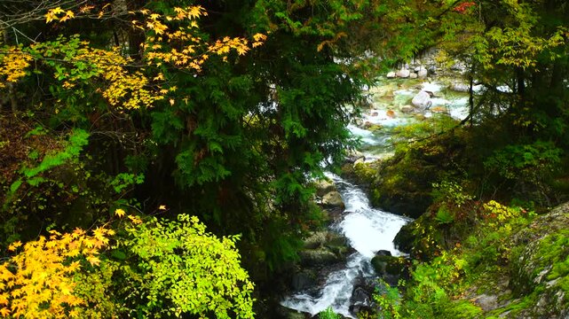 紅葉の樽ヶ沢の滝