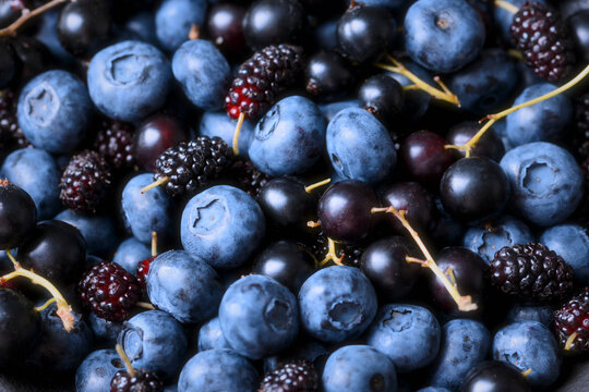 Close detail of blueberries with mulberries, shallow depth, natural light. Healthy organic berry background