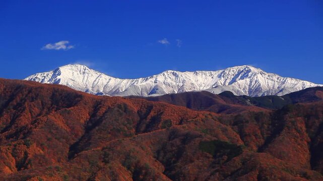 陣場形山から望む仙丈ヶ岳と北岳と紅葉のカラマツ林