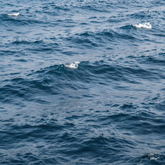 Obraz premium Minimalist Ocean Natural. Stylized Illustration Of Intricate Blue Ocean Waves Texture