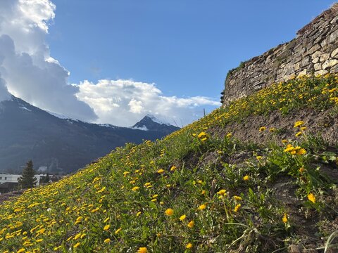 Alpine scenery with a green meadow in Balzers in Liechtenstein 25.3.2025