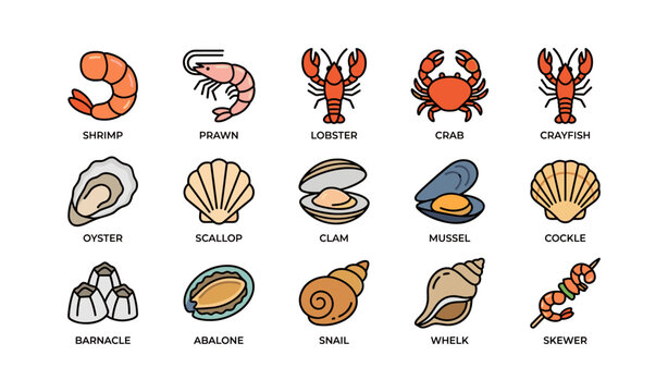 Colorful illustration of various shellfish and seafood icons in grid layout