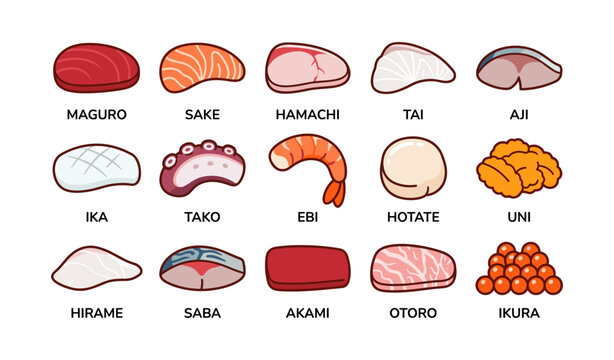Illustrated guide to sushi: types of fish and seafood names