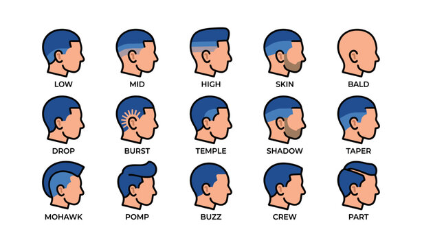 Men's haircut styles: low, mid, high, skin, bald, drop, burst, temple, shadow, taper