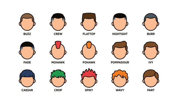 Illustrative male hairstyles collection featuring various popular cuts and styles