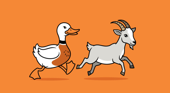 Goat and Duck Running Together Sideways.