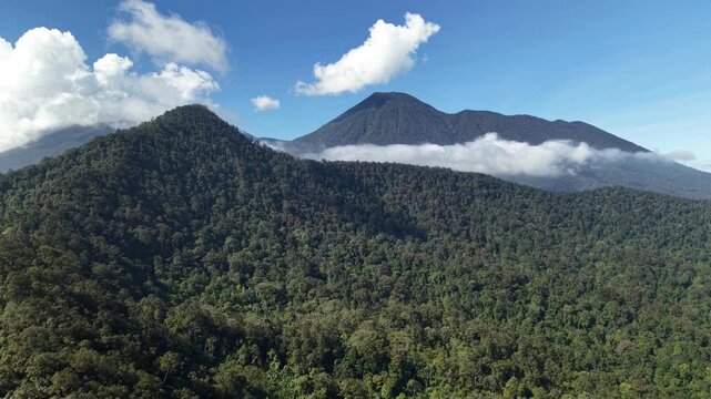 A forward-moving drone shot shows the stunning green forest canopy in the Mount Gede Pangrango National Park area, Indonesia.