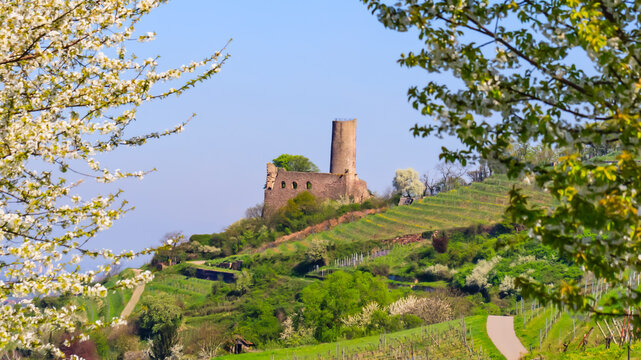 Old stone tower stands among green hills and blooming trees on a sunny day in the countryside