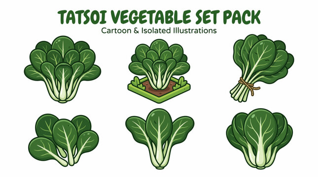 Tatsoi Vegetable Cartoon Set Isolated Green Leafy Asian Greens Illustration Pack