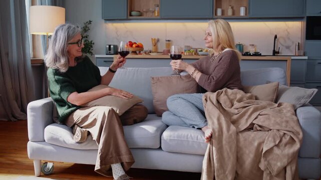 Senior women toast with red wine smiling on sofa at home