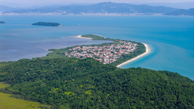 Close-up aerial view of Praia da Daniela lush vegetation and white sand meeting calm sea in Florianopolis.