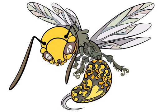 女王蜂
