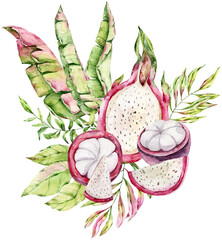 Watercolor illustration of tropical dragon fruit and mangosteen with exotic palm leaves on transparent background. Botanical composition of sliced fresh organic food for design element. © Tiana_Geo
