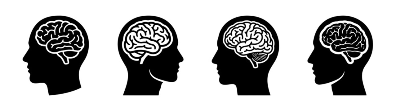 Human brain anatomy illustration showing mental health and neurological function and intelligence process