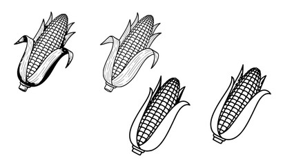 Obraz premium A set of four black and white corn illustrations in different line art styles