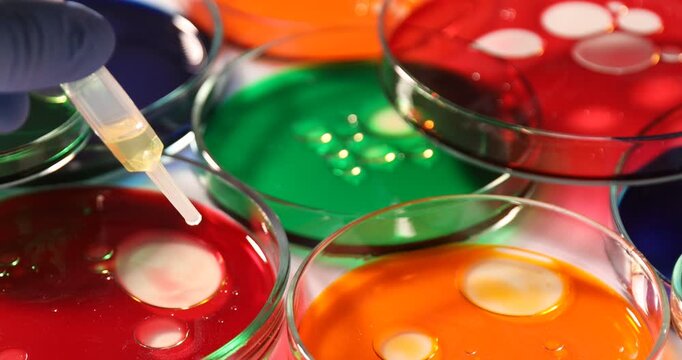 Scientist dripping reagent into Petri dish with sample at table, closeup