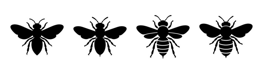 Fototapeta premium Vector silhouette of mantis insects collection, entomology illustration, insect icons and design elements