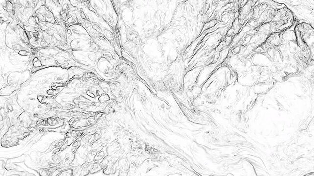 High-quality white marble fluid background with intricate grey swirls. Abstract monochrome liquid motion perfect for minimalist designs, clean artistic overlays, and modern digital backdrops.