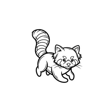 Cute Red Panda Sketch Drawing Illustration.
