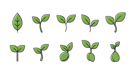 Seedling Growth Stages Icons © Bunga