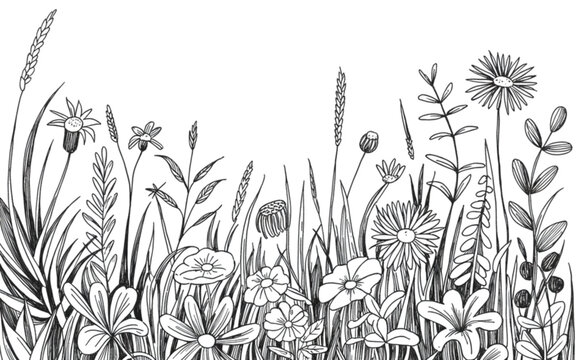 A dense field of tall wild grasses swaying in the wind Vector