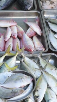 Vertical screen Fresh Fish Trays At Vietnamese Street Market, Metal Trays Filled With Silver And Pink Fish, Yellow Tails And Glistening Scales, Wet Closeup Of Seafood Display, Bustling Stall