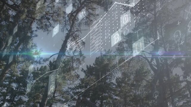 Cam tilting down revealing trees jagged chart rising diagonal cyan flare cutting tops, showing tech