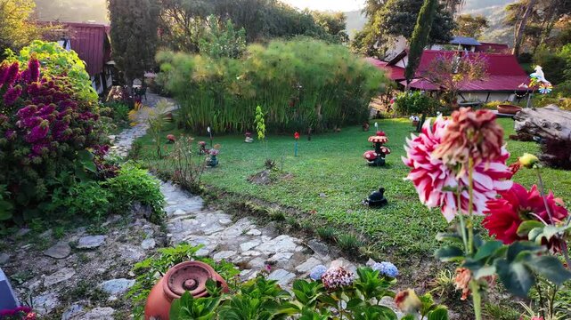 Dolly out reveal of a whimsical backyard featuring stone paths, garden gnomes, and lush papyrus plants during golden hour. Authentic tropical garden