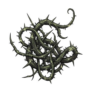 Entangled Thorny Vines with Sharp Spikes