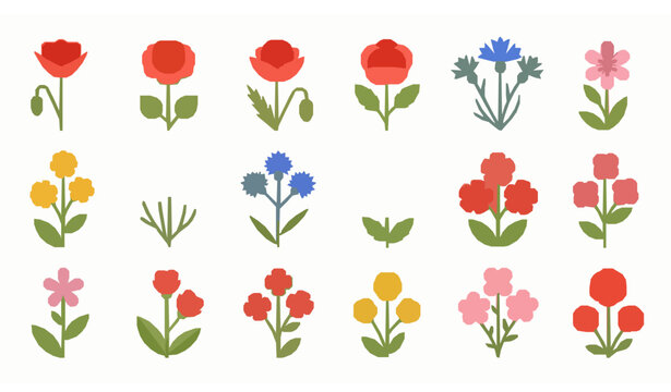 Wildflower flat lay vector collection poppies daisies cornflowers colorful blooms set
