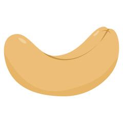 Fototapeta premium cashew illustration