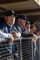 Three male teammates in baseball caps leaning on chainlink fence in dugout holding glove and phone © wavebreak3