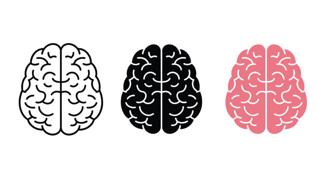Professional vector graphic illustration featuring three distinct stylized brain icons presented in linear black solid black and pink fill variations for modern medical and scientific design