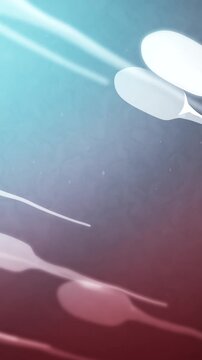 Sperm in a Woman's Body Travelling toward Egg - Vertical