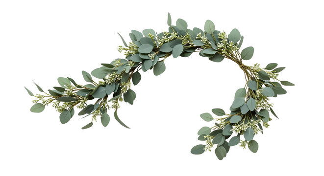 laurel wreath on png background