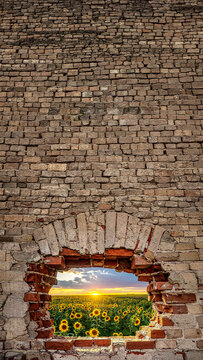 Rustic Brick Wall Featuring an Arched Breach Revealing a Sunlit Sunflower Field with Distressed Incrinatura Texture
