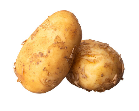 新ジャガイモ / new potatoes