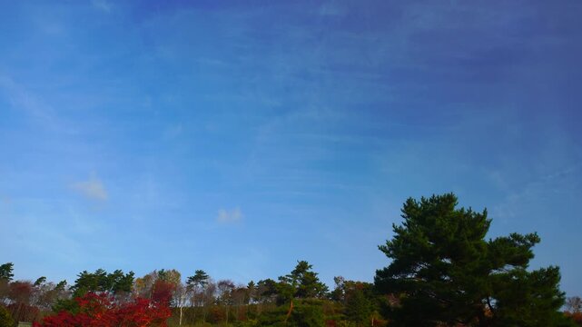 タプコプ創遊村の古民家とモミジの紅葉