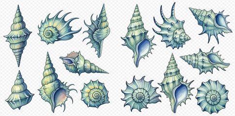 Collection of various seashells on a transparent background, perfect for marine-themed designs. © Akun