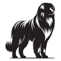Obraz premium Pamir Shepherd Dog Powerful Guardian of Central Asian Mountains Loyal Protective Intelligent Rare Breed Strong Working Dog Family Protector Brave Independent Weather-Resistant Herding Companion.