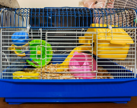 Small Animal Cage with Blue Base, Yellow House, and Green Exercise Wheel on Wood Shavings Bedding - Habitat for Hamster, Gerbil or Mouse with Water Bottle and Plastic Accessories