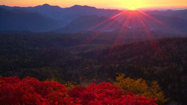 赤岳第一花園から望むナナカマドと武利岳などの山並みと朝日
