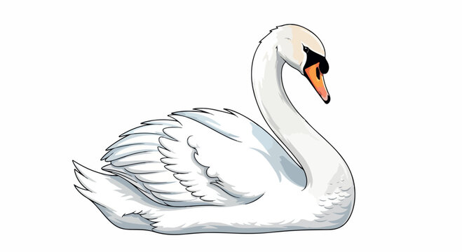 Graceful white swan illustration with an elegant curved neck and orange beak, a serene waterfowl portrait